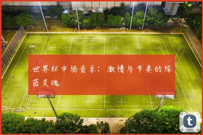 世界杯中场音乐：激情与节奏的绿茵灵魂