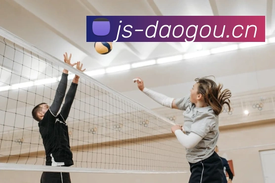 星空体育app官网入口网址平台生态图